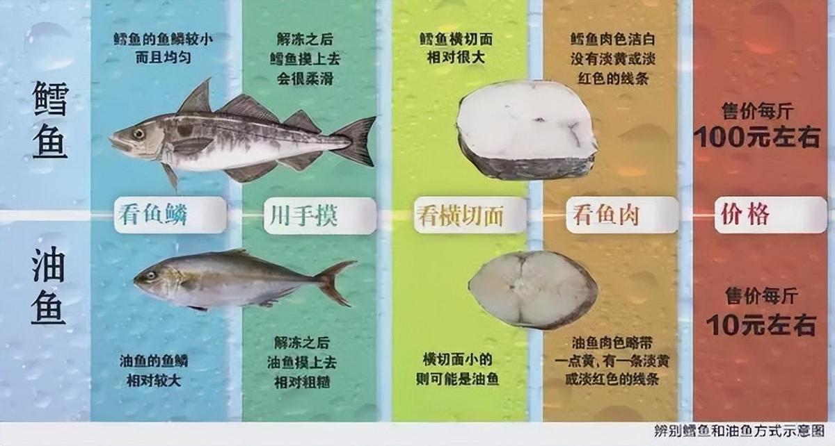 油鱼危害,巴马油鱼吃了会漏油吗