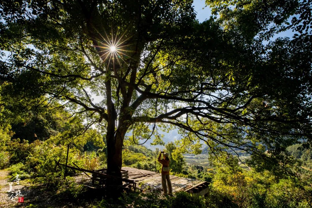 北仑徒步爬山推荐,北仑冷门爬山路线