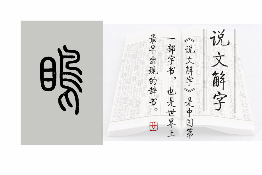 《说文解字》第654课：成语“瞋目张胆”的“瞋”是什么意思？