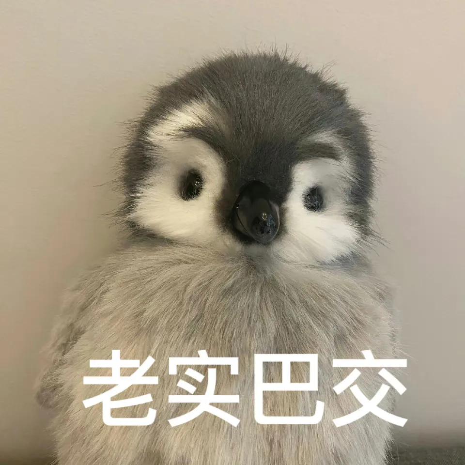 背景图唯美治愈高级感,背景图ins高级感唯美