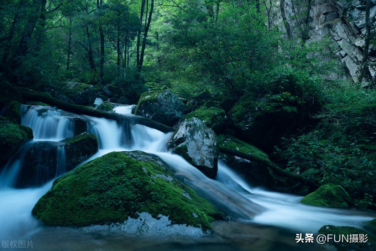 学摄影必看的9大技巧汇总,必须掌握的12条摄影法则