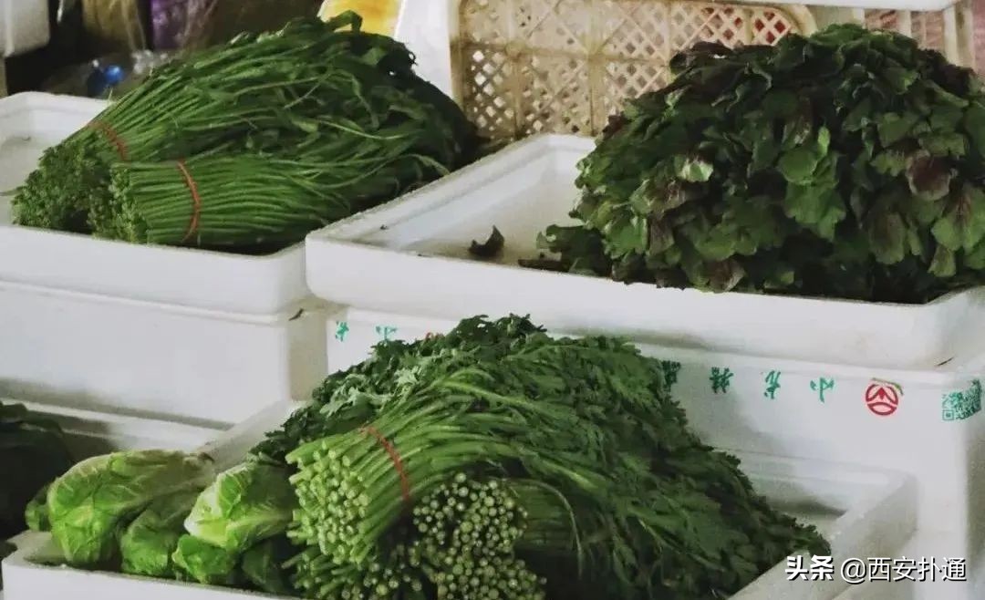 西安曲江哪里有大型批发菜市场,深夜西安十大农贸菜市场