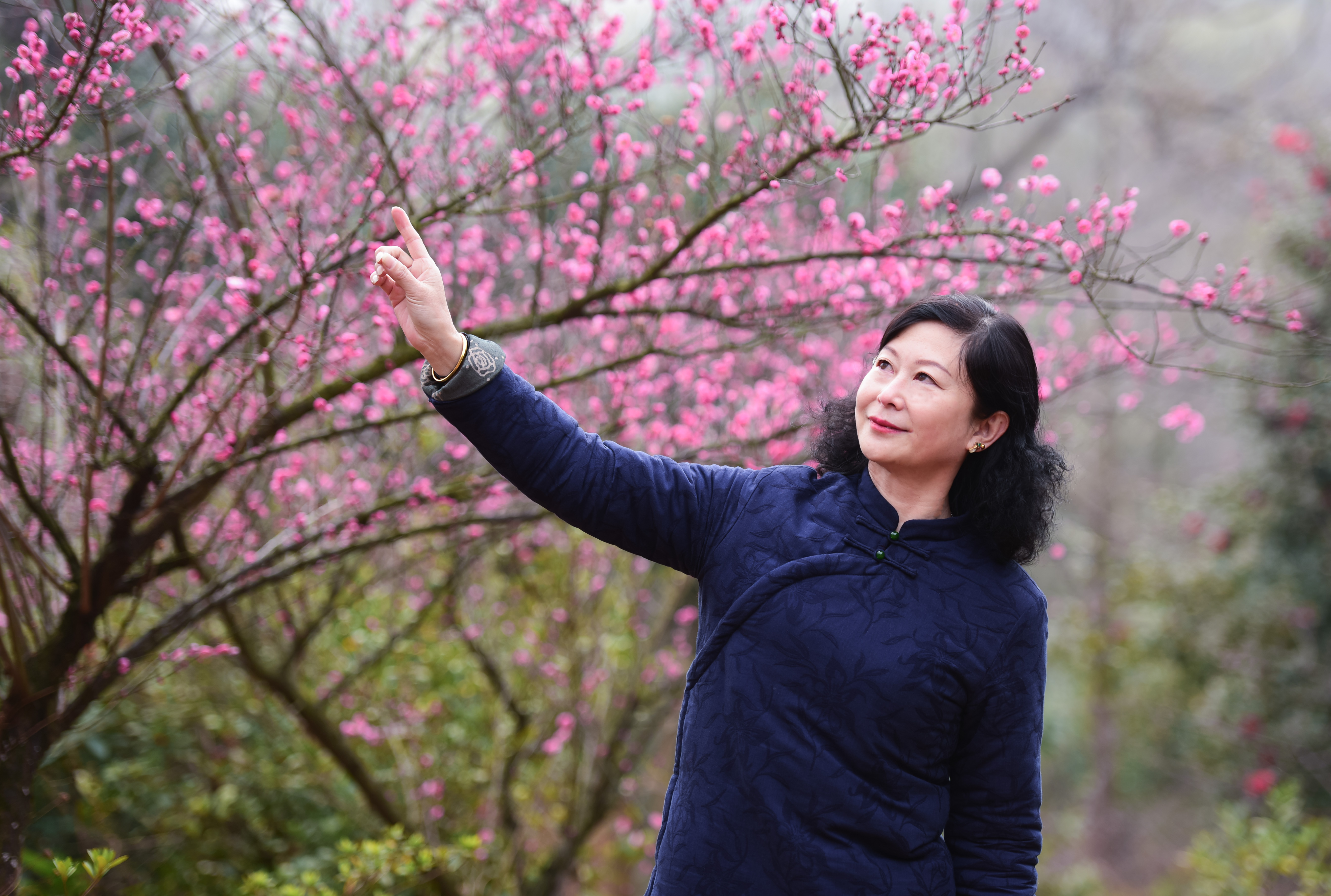 南昌中盛山庄杜鹃花最佳观赏期,南昌中盛山庄门票