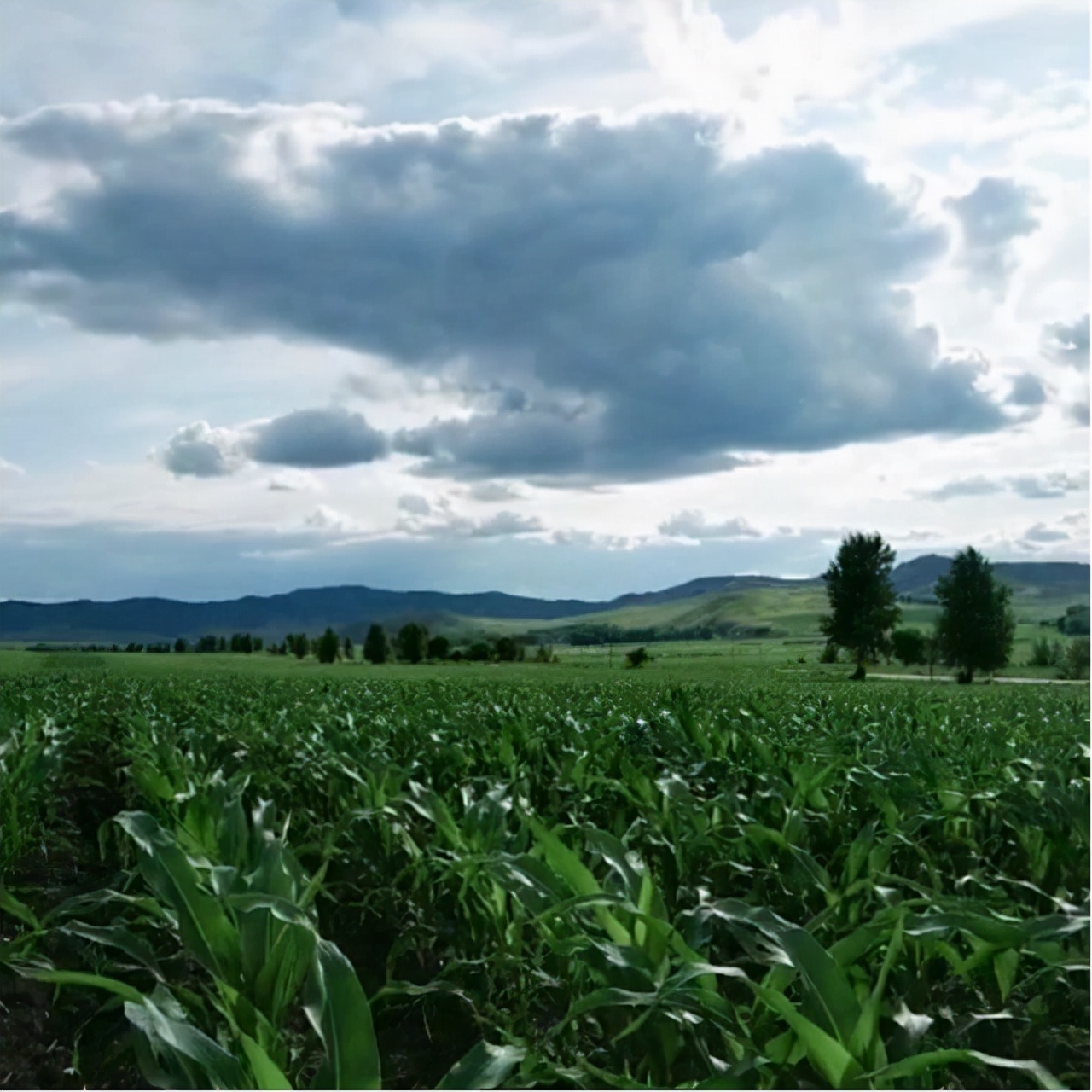 冯庸家产,冯庸散尽家财