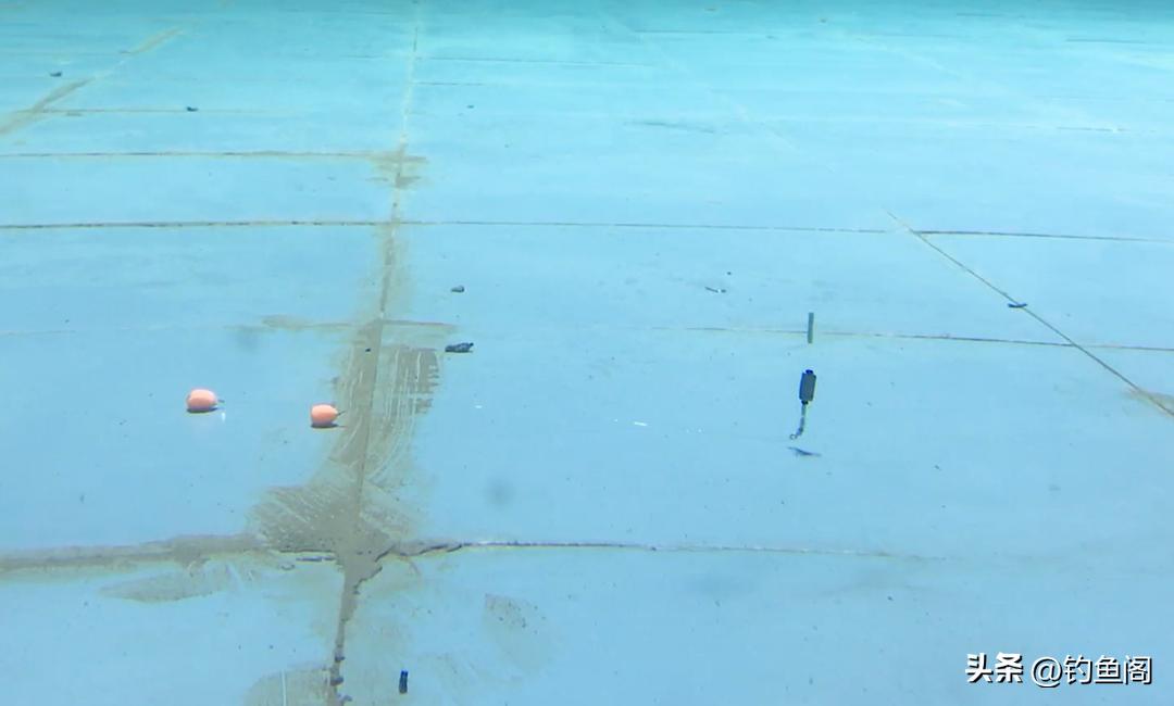 野钓鲫鱼调漂的正确方法和技巧,鲫鱼野钓调漂的正确方法与技巧