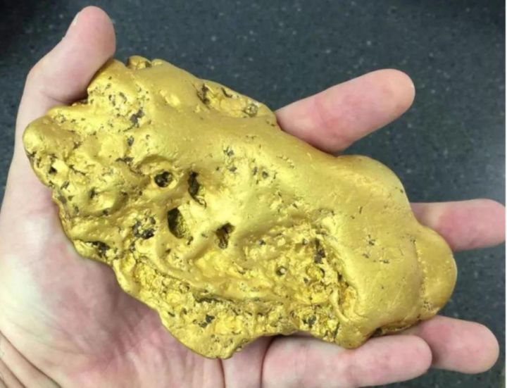 澳洲男子用廉价金属探测器寻获,挖到13公斤狗头金