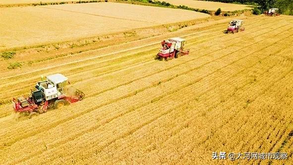 扎根鹤壁71年持续贡献金融力量——鹤壁市农信社服务地方经济发展纪实