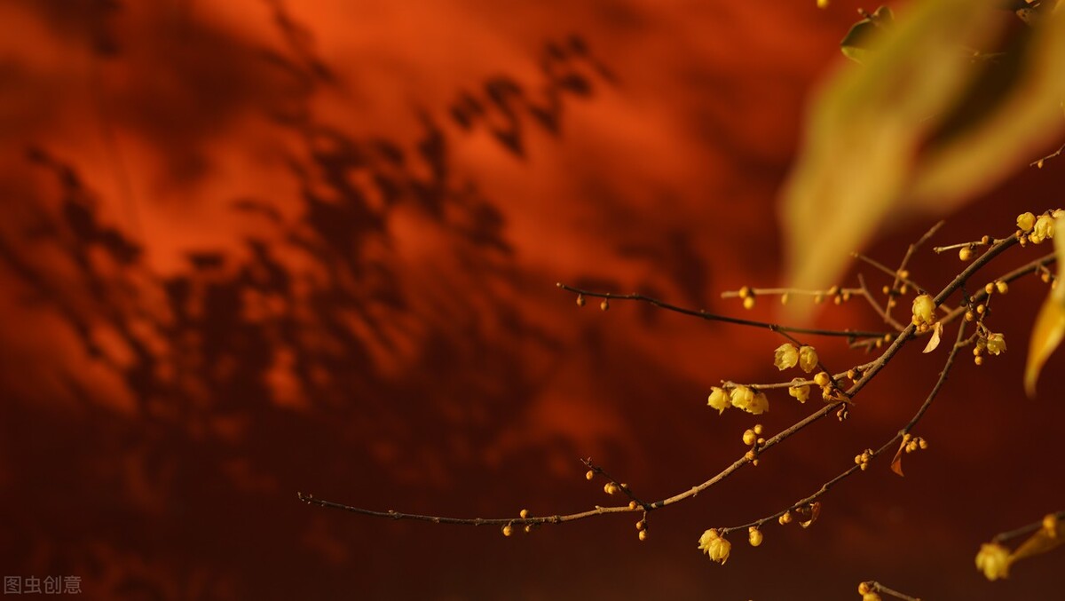 古人描写冬天的诗文名句,描写冬天的古典诗词