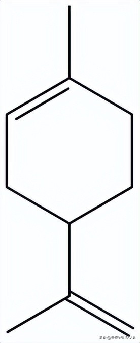 翠叶吹凉冷香飞留兰香浓醉晨昏