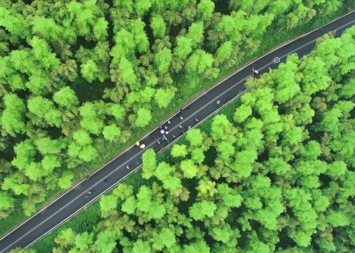 人不负青山青山定不负人作文650字,人不负青山青山定不负人申论范文