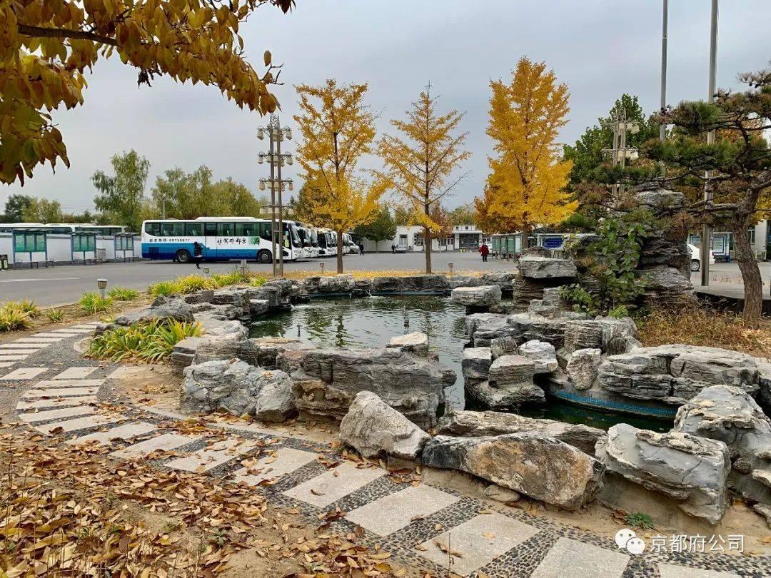 c照驾驶证可以开多长的车,c本驾驶证年龄限制到多大