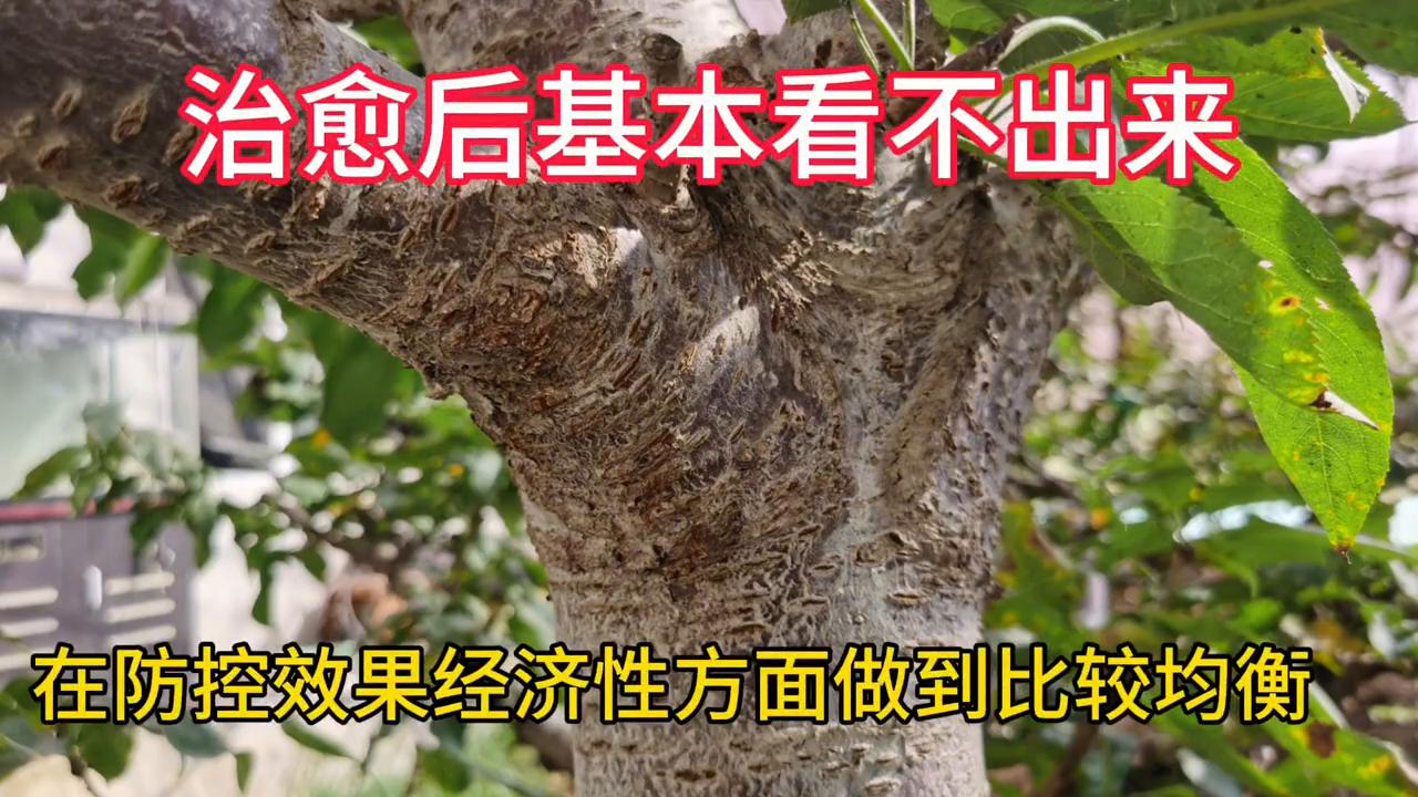 亿农美科土菌净,亿农美科生根菌剂