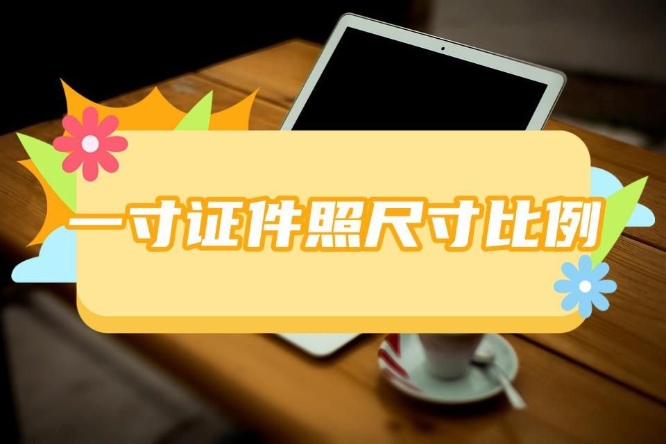 怎么把照片变成一寸证件照的尺寸,一寸证件照片的尺寸是多少厘米