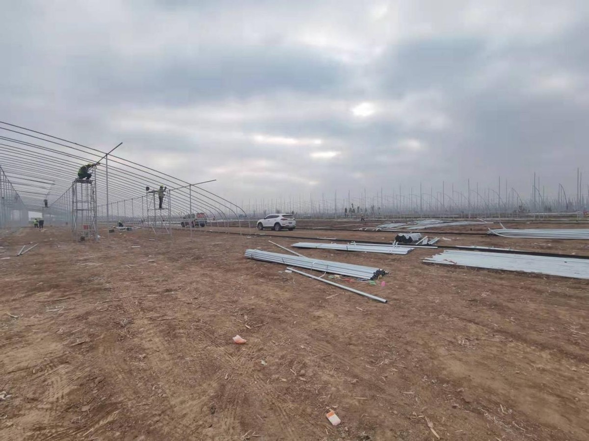 深学笃用天津行动丨年产值超10亿元！这里将崛起一座“致富基地”