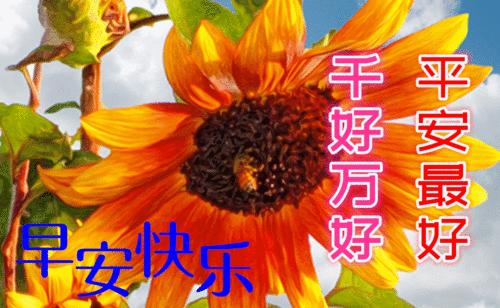 2022年早晨好表情大全,12月22号早上好表情图片大全