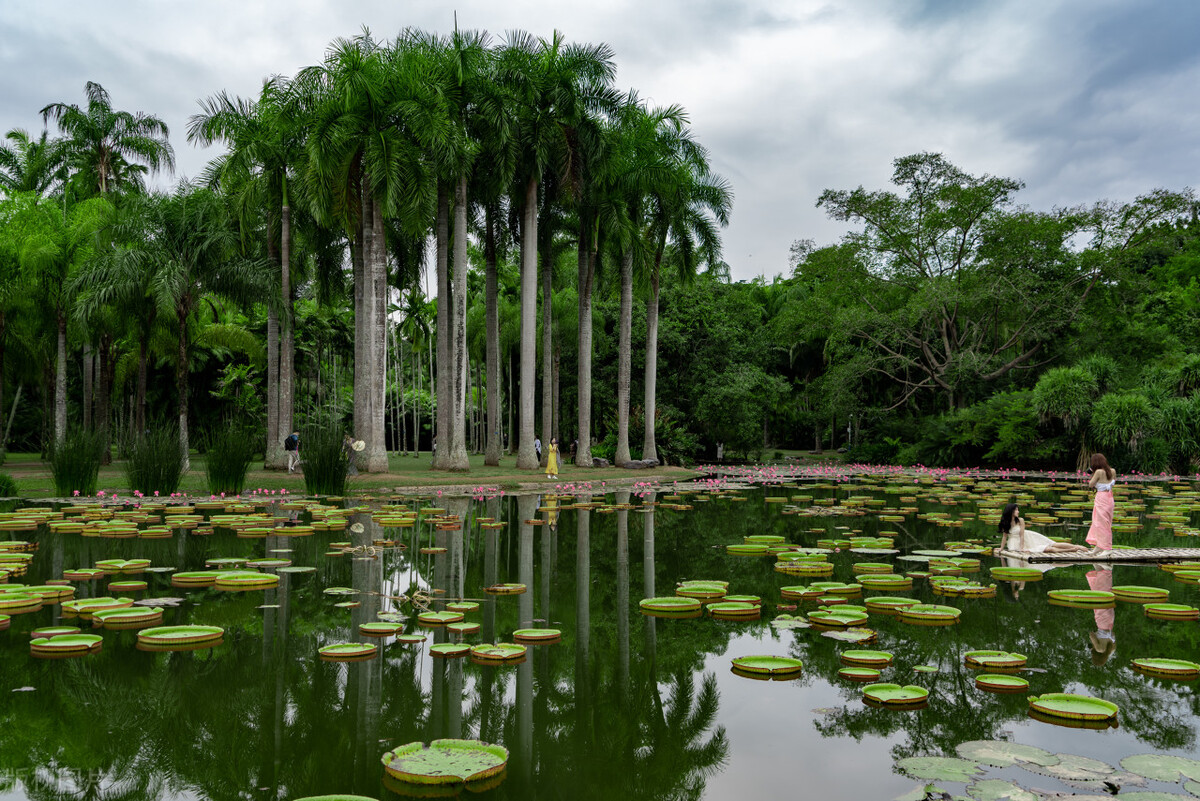 西双版纳名胜古迹有哪些,西双版纳有哪些名胜古迹