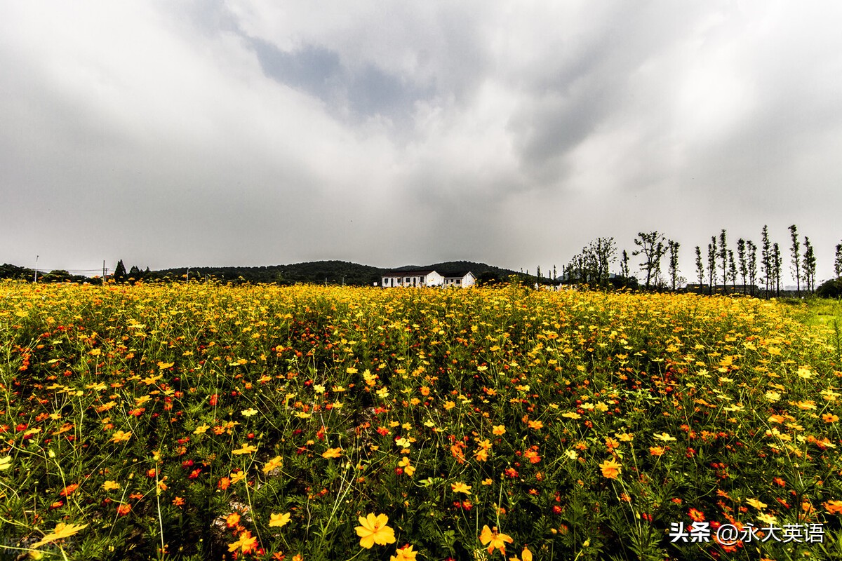 高中英语读写课的策略,高中英语读写结合教学设计