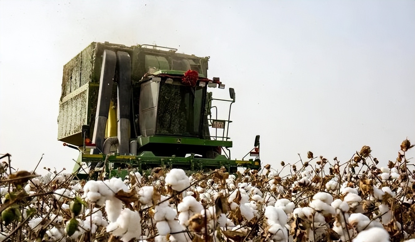 试述中亚种植棉花的有利条件 (19世纪初期哪个国家对棉花有需求)