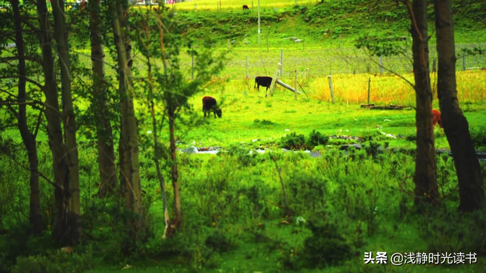古人是如何识人和应对小人的,古人遇到小人