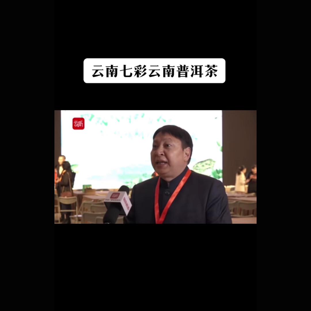 桂林七彩云南普洱茶,云南普洱茶七彩云南