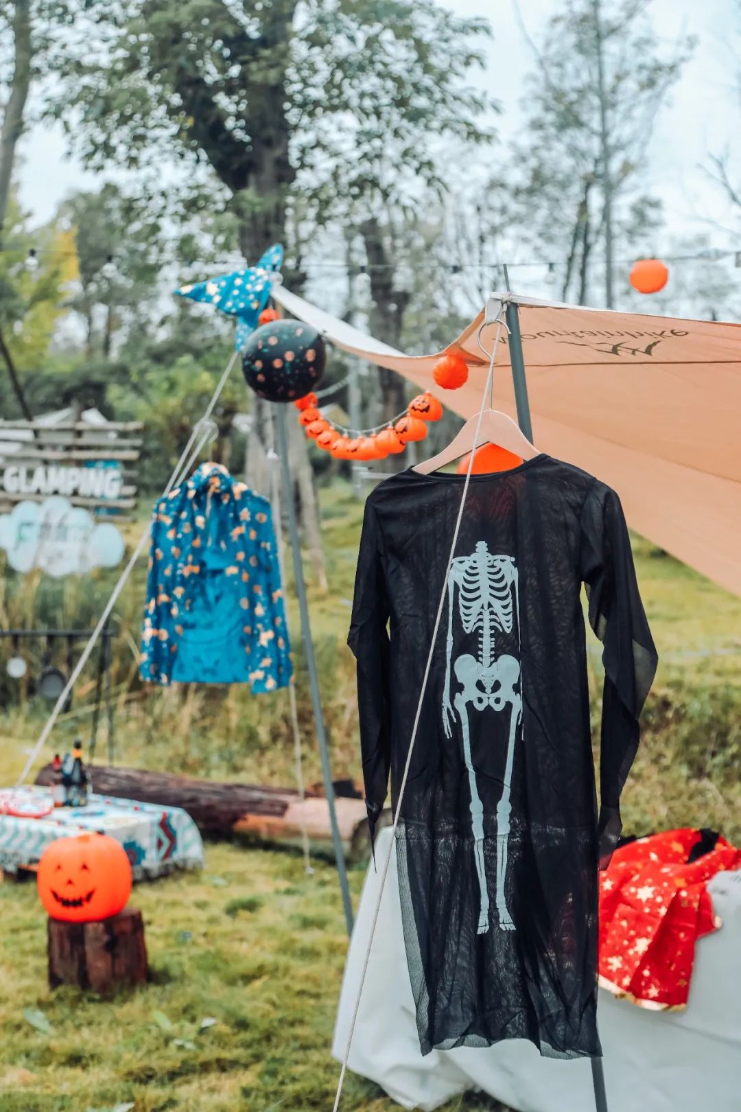 萌宠万圣狂欢夜,萌宠露营云龙区