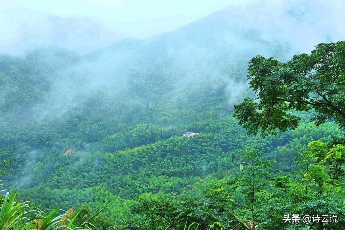 中国现代诗歌批判,戏说社会现状