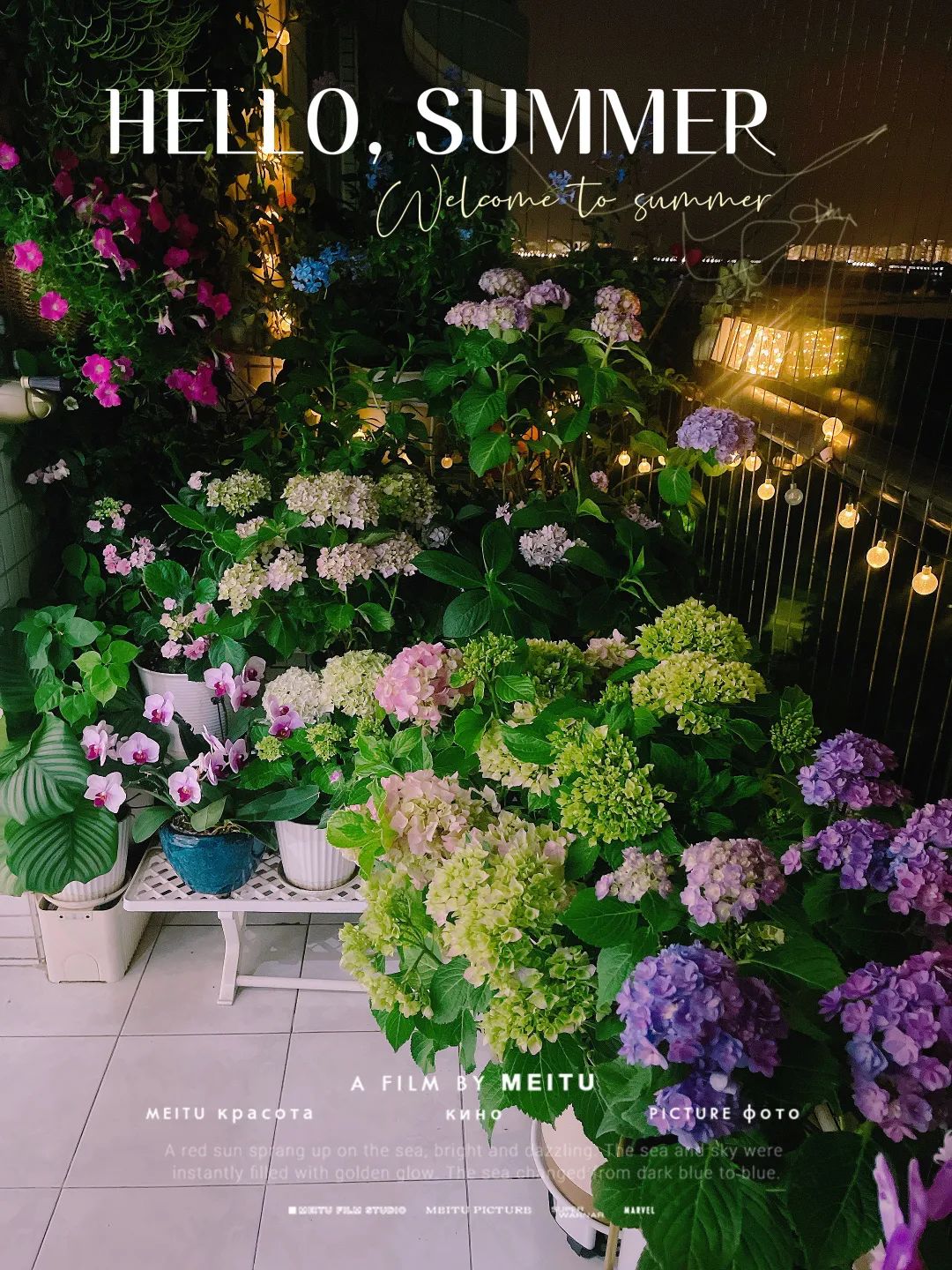 很多人羡慕的阳台,让别人羡慕的阳台