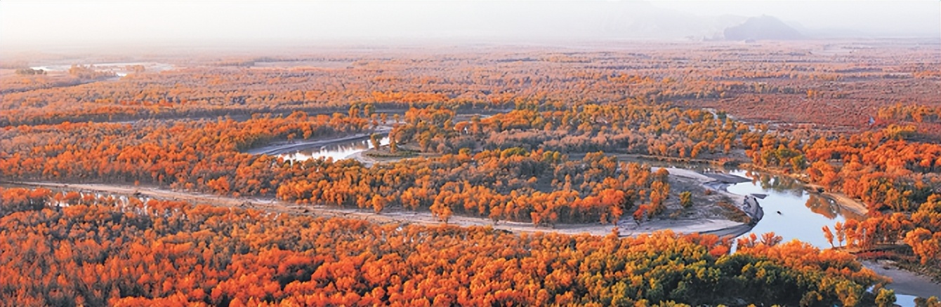 水清岸绿乡村美景图,水清天蓝地绿