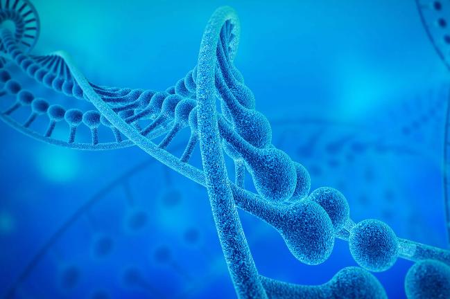 y染色体消失人类如何生育,男性y染色体正在消失