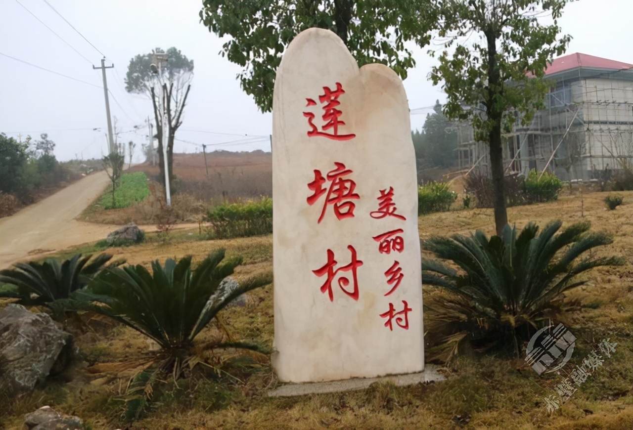 肯吃苦有作为敢担当,能吃苦肯奋斗的新时代好队员