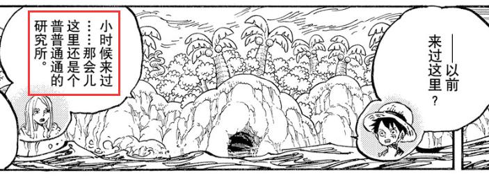 「流星电台」海贼王10641065分析-高质量解读