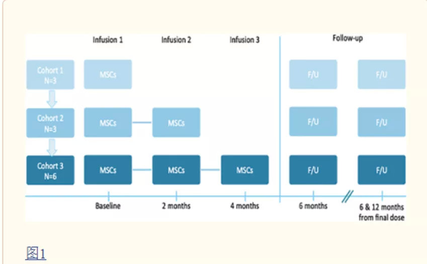 间充质干细胞治疗自闭症,自闭症干细胞