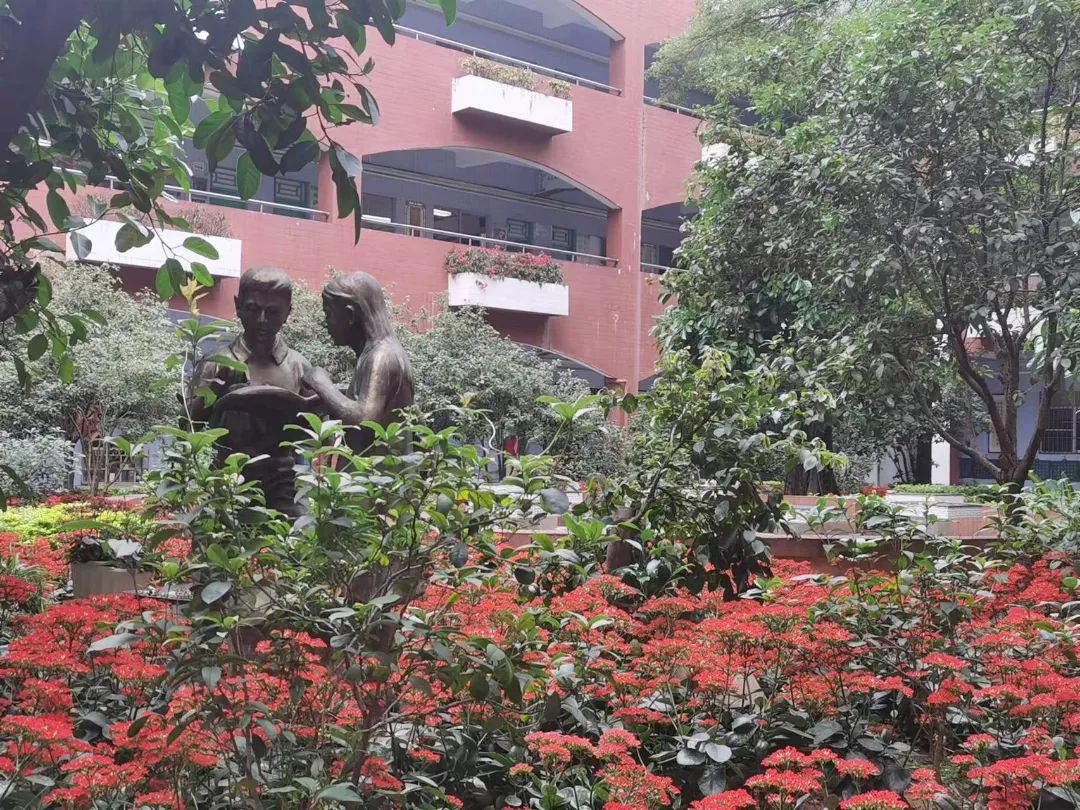 石碣四海学校和东盈学校哪个好,石碣四海学校2023年学费多少钱