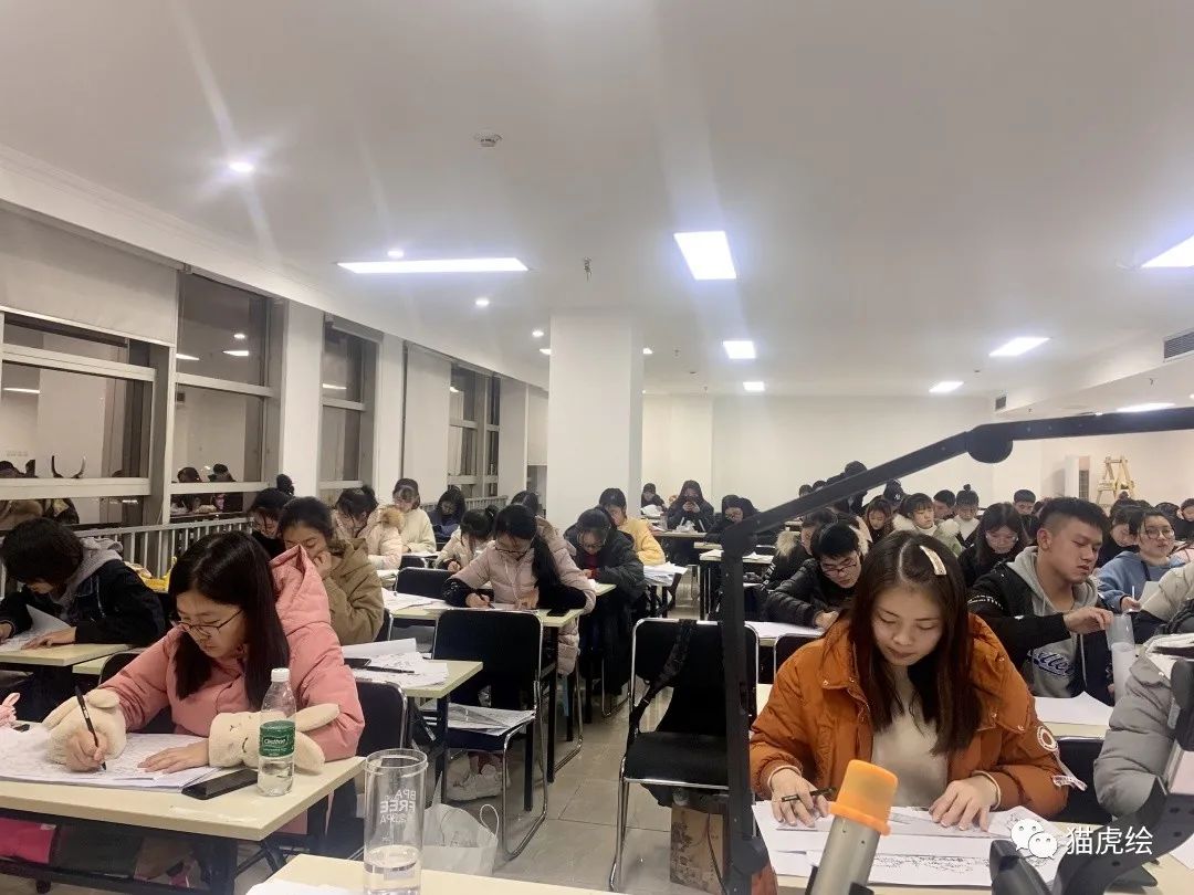 2022猫虎绘暑假手绘班招生简章「线上+线下」