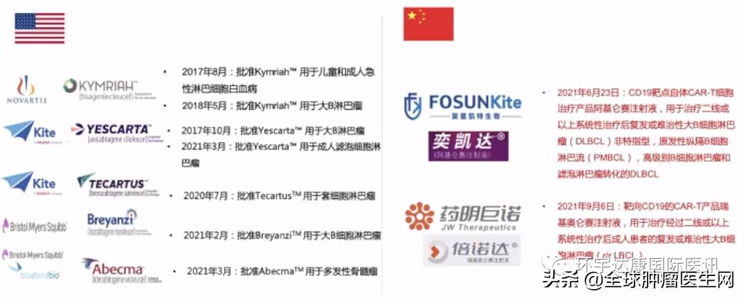 世界第一例cart疗法成功治愈,世界首例car-t疗法抗癌成功