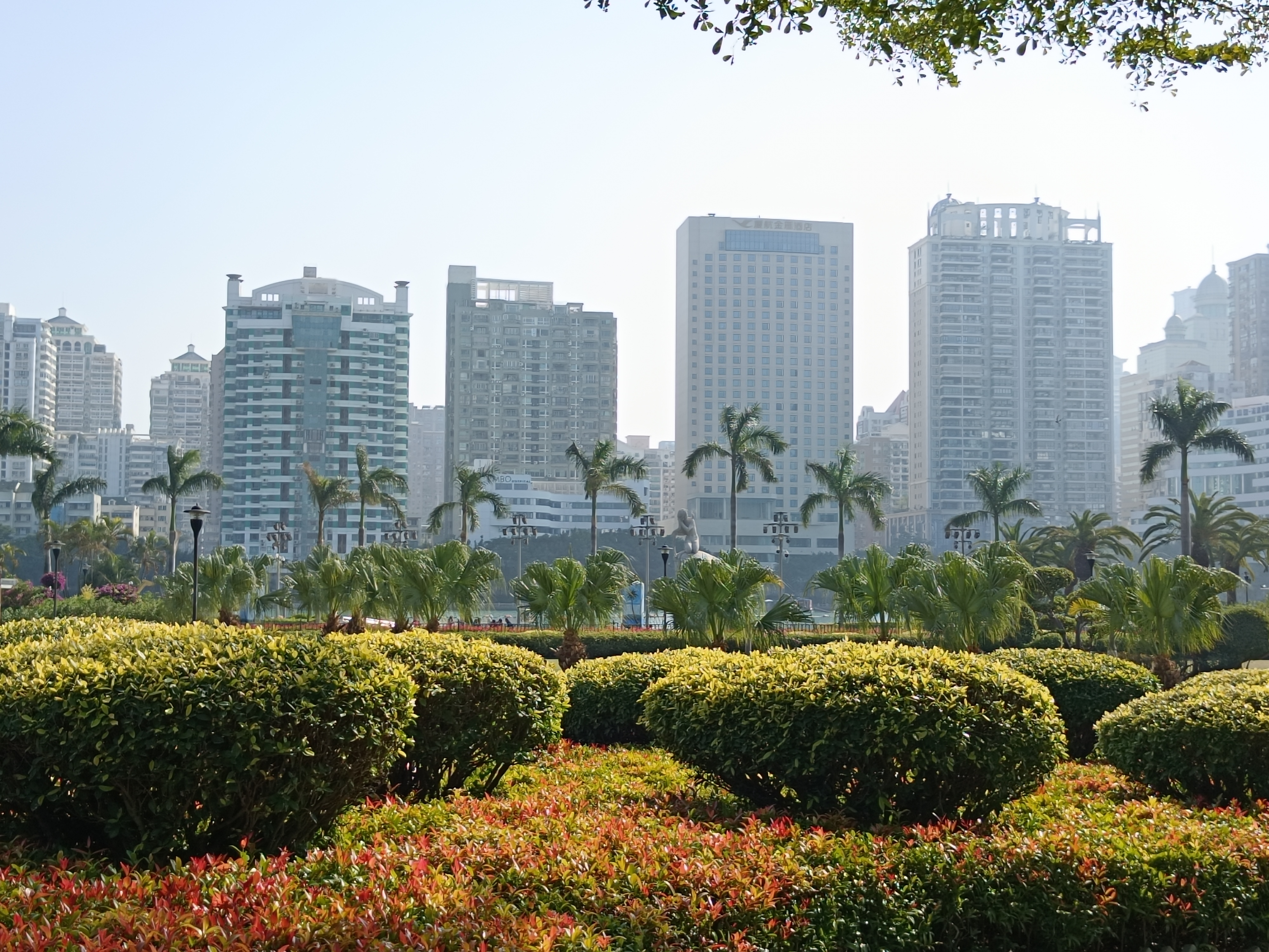 厦门最大广场公园,厦门城市广场最大景点