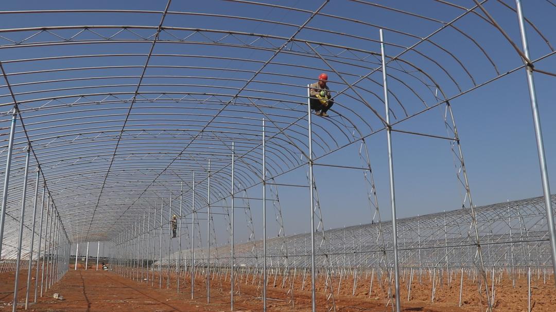 江西瑞昌农业发展,瑞昌农业发展前景