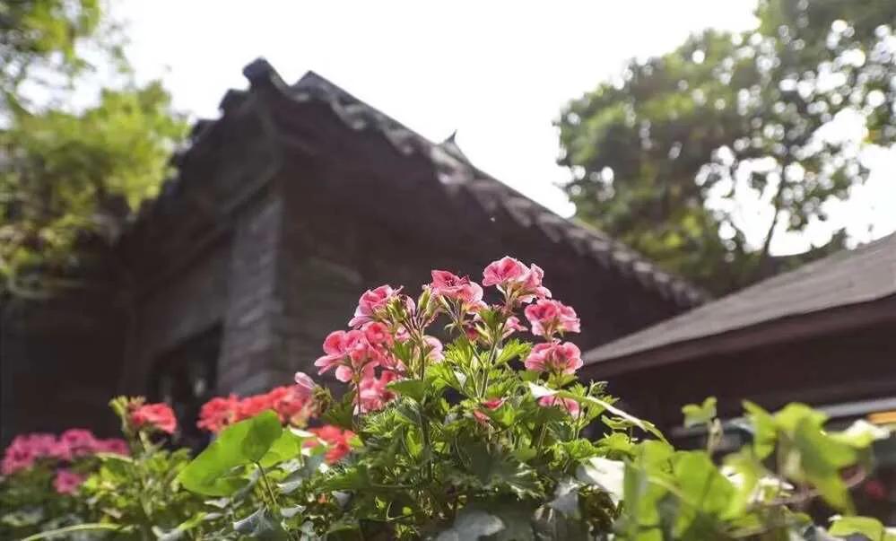 宽窄巷和宽窄香烟,成都宽窄巷宽窄两个字是什么材质