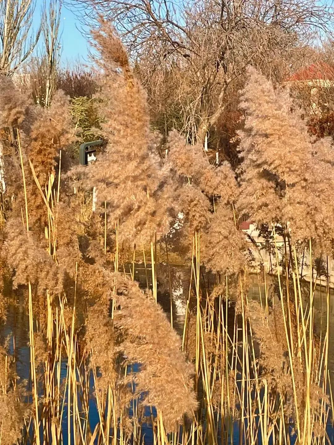 天津二宫老照片,天津二宫最新消息