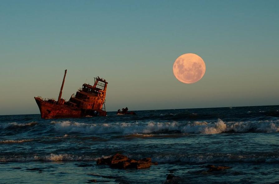 中国渔民杀韩国船长船员事件,韩国渔船船长被杀事件