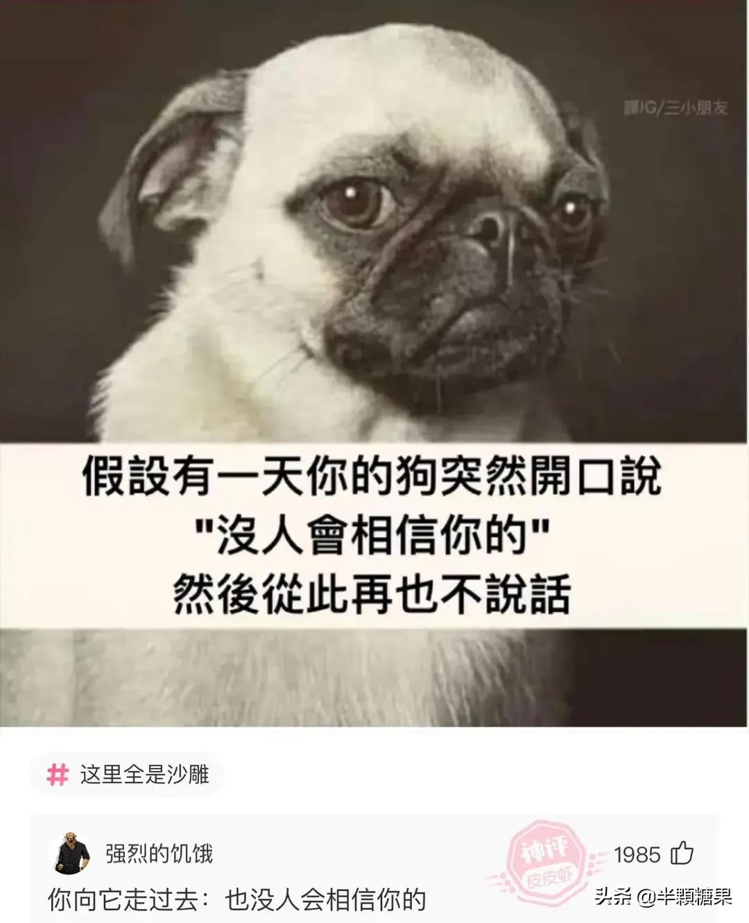 爆笑神回复原视频,爆笑神回复外卖