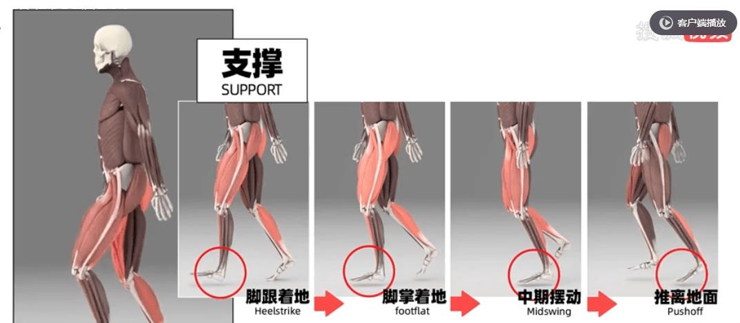 两个颜色不同的鞋带怎么打结起来,airforce鞋带怎么打结