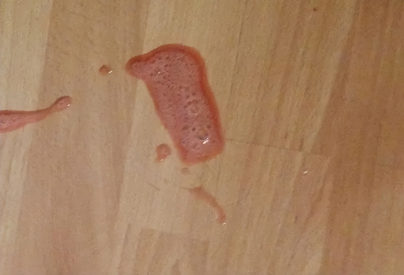 养猫的烦恼家里面好多猫毛怎么办,养猫烦恼