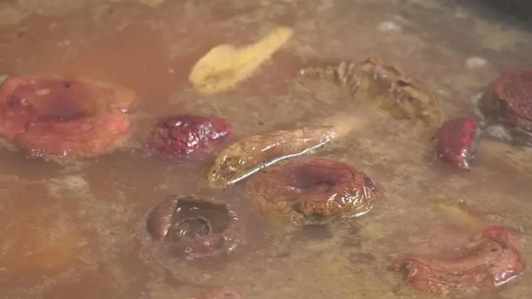 云南红菇好吃吗,云南山野红菇