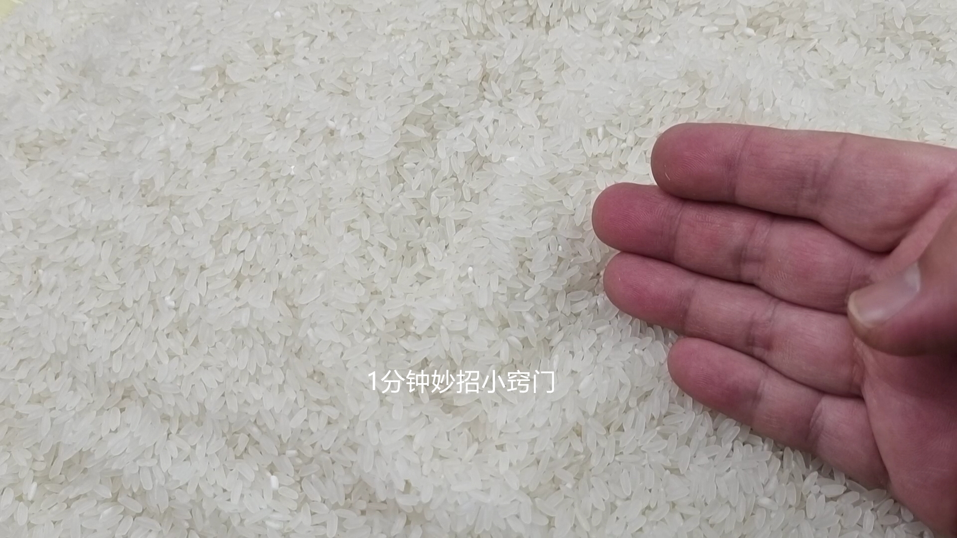 已经长虫的大米怎么赶走米虫,大米长虫不要晒教你一招