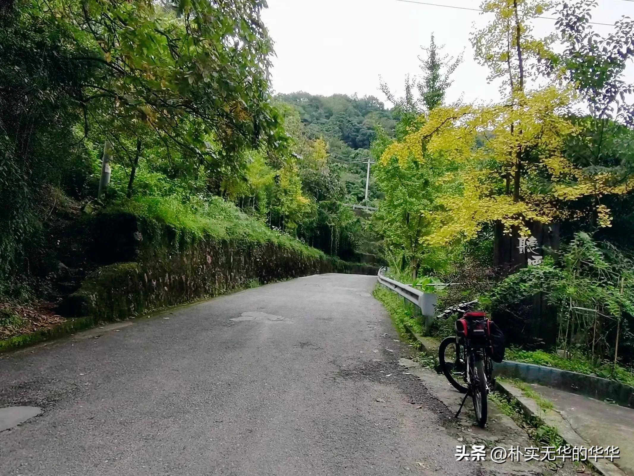 赵公山康养绿道导览图,赵公山骑行森林绿道环线南上北下