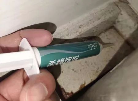 家里的蟑螂越来越多怎么消灭蟑螂,根除蟑螂有什么特效药和妙招