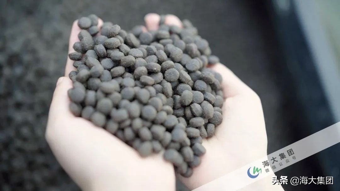 专注细节与品质打造,专注品质极致细节