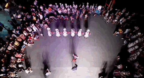 龙舟能盈利吗,龙舟发展情况