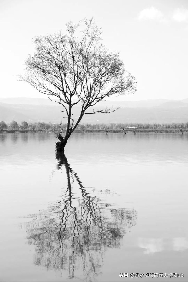 别人家香水9块9,别人家的香水